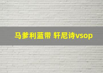 马爹利蓝带 轩尼诗vsop